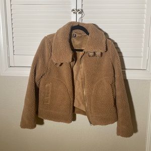 Brand new teddy coat